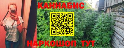 apvp Кинель