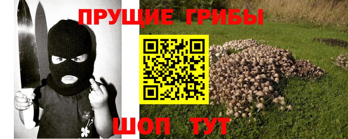 Галлюциногенные грибы мицелий  Вход с VPN  Псилоцибиновые грибы Magic Shrooms  наркота  Южно-Сахалинск 
