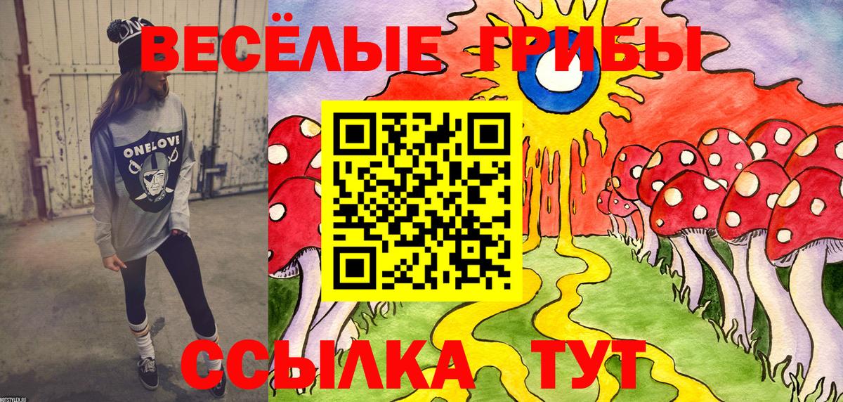 Псилоцибиновые грибы мицелий Южно-Сахалинск